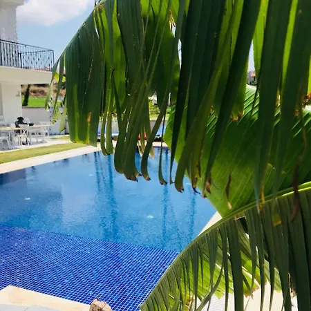 Bed & Breakfast My Vera Butik Alacati