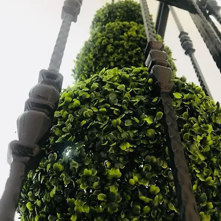 My Vera Butik Bed & Breakfast Alaçatı