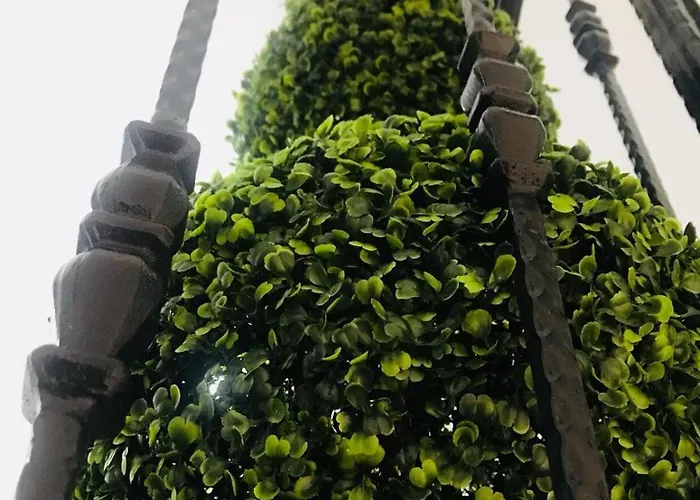 My Vera Butik Отель типа 